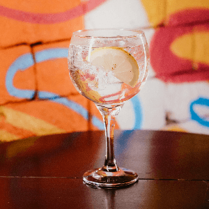 GIN TÔNICA