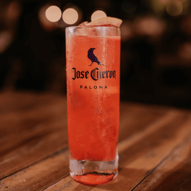 CUERVO PALOMA