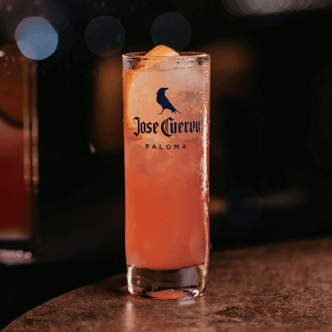 CUERVO PALOMA